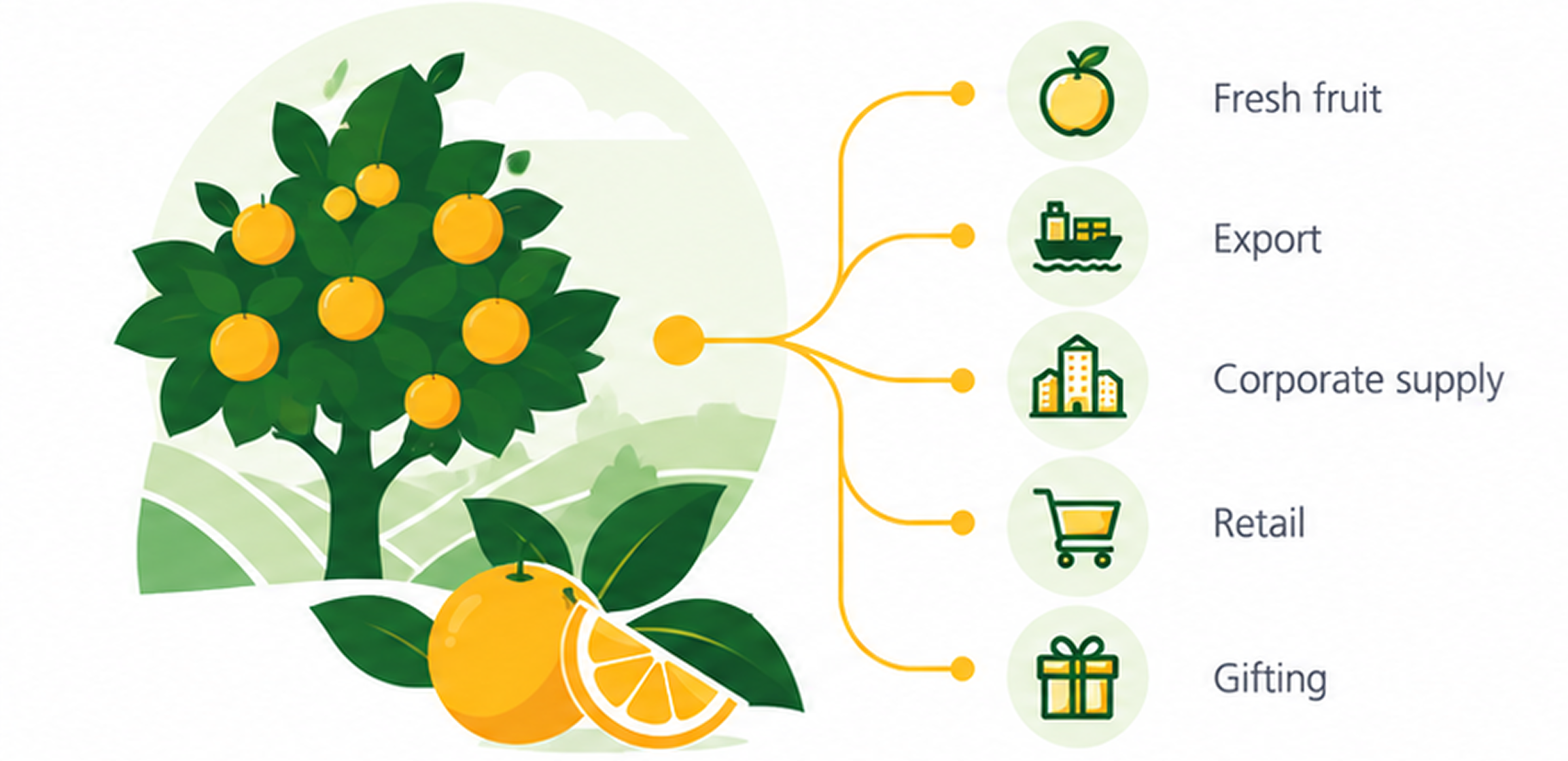 ORCHARD to DOORSTEP